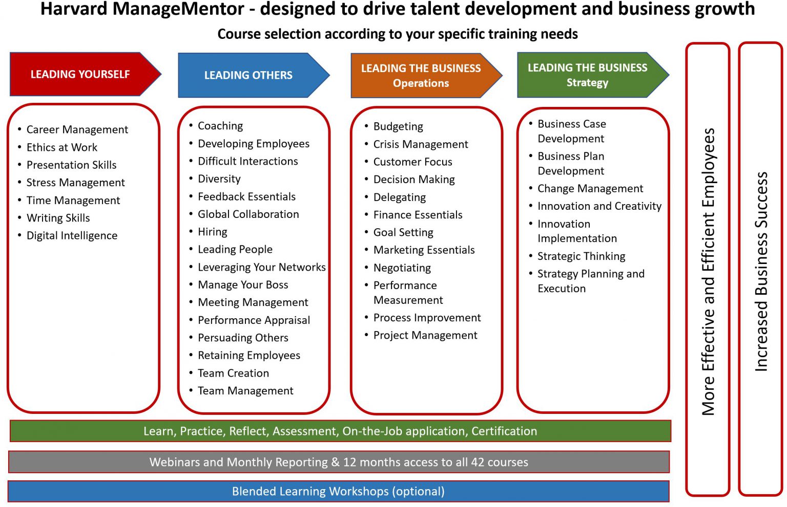 harvard managementor business plan development